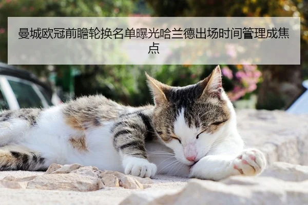 曼城欧冠前瞻轮换名单曝光哈兰德出场时间管理成焦点